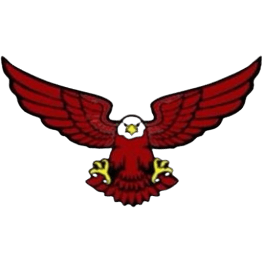 cropped-ICON.png